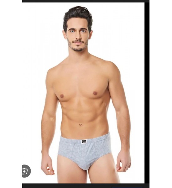 12' Li Tutku Slip Erkek Gri Külot